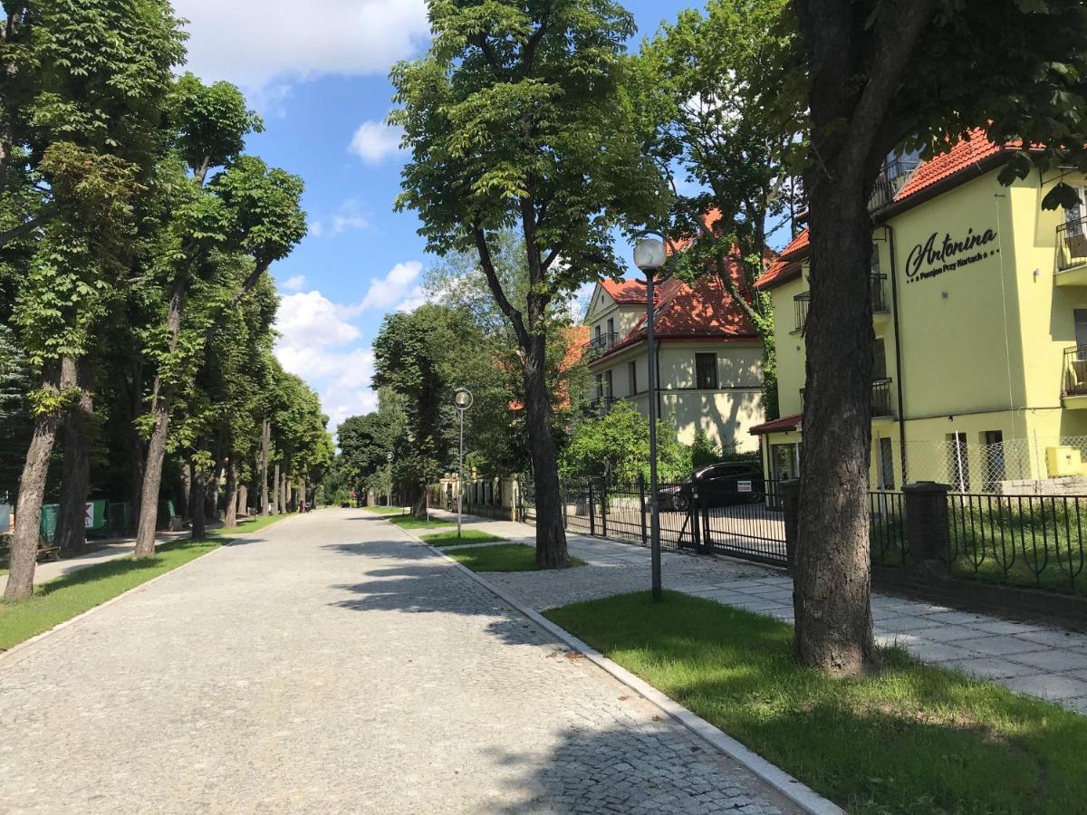 Antonina ***pensjonprzykortach*** Szczawno-Zdroj