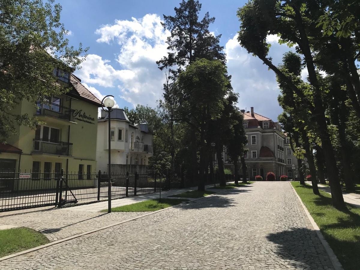 Antonina ***pensjonprzykortach*** Szczawno-Zdroj